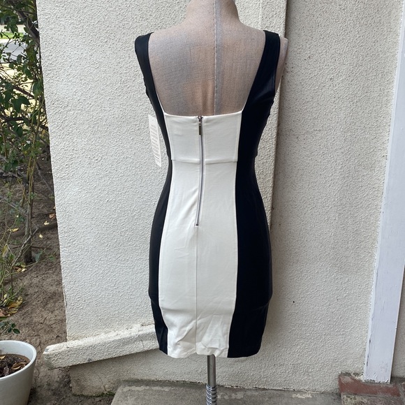 NWT Boston Proper gorgeous stretchy bodycon dress with faux leather on sides. - Picture 6 of 8